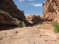 Lower end of Grand Gulch